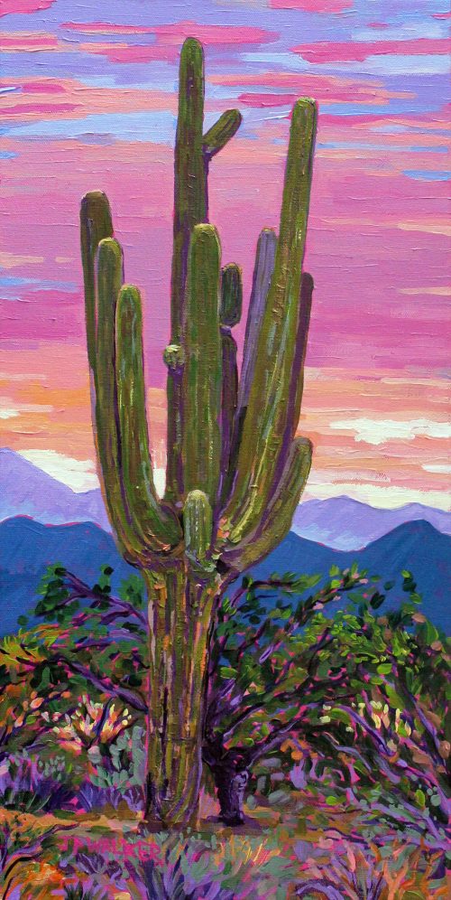 Tucson Giant