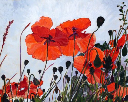 Poppy Glow from Below