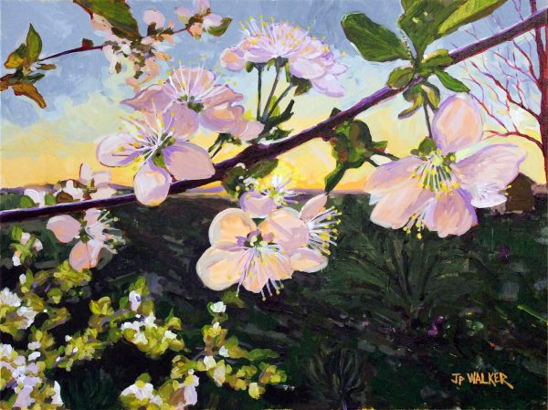 Fruit Blossoms at Dusk