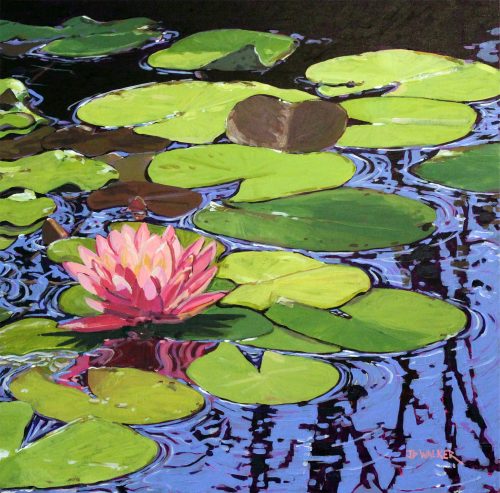 Water Lily Reflection_sml Water Lily Reflection