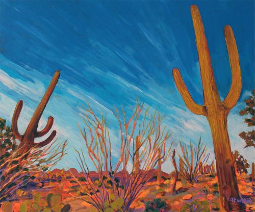 Saguaro Perspective_sml Saguaro Perspective